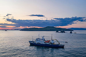 Зона внимания