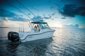 На рыбалку с Boston Whaler